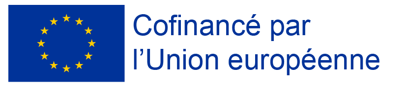 Fonds Social Européen Plus (FSE +)